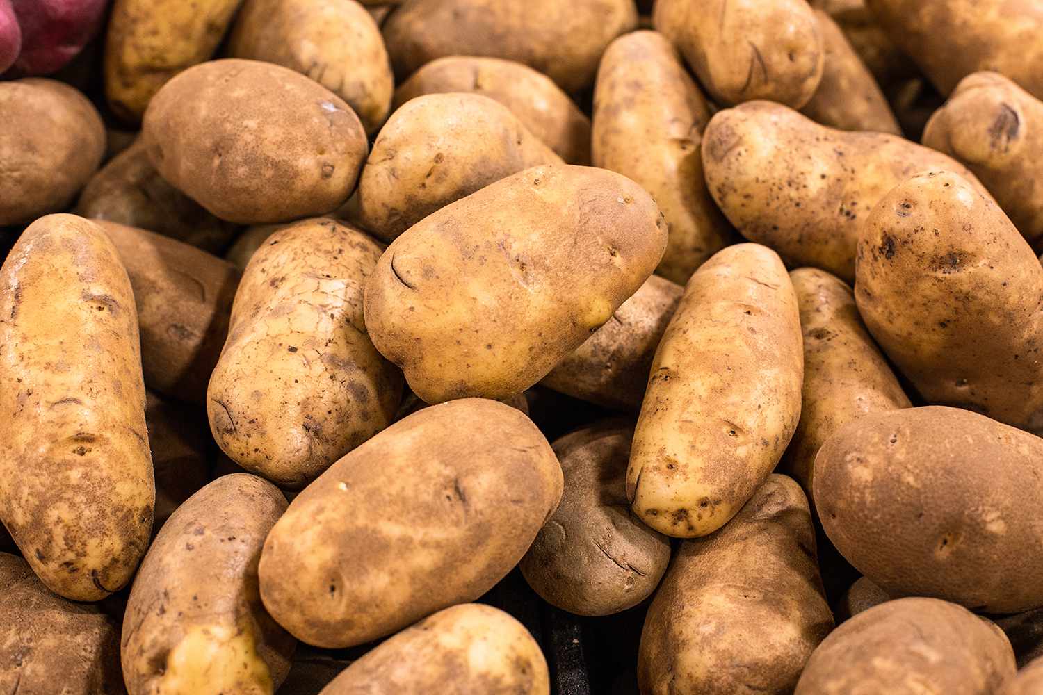 How Idaho Became Known for Potatoes