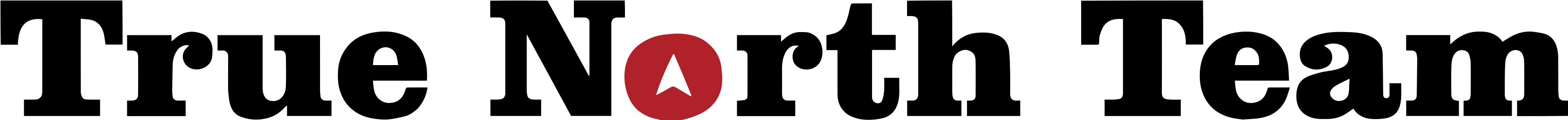 Team Logo