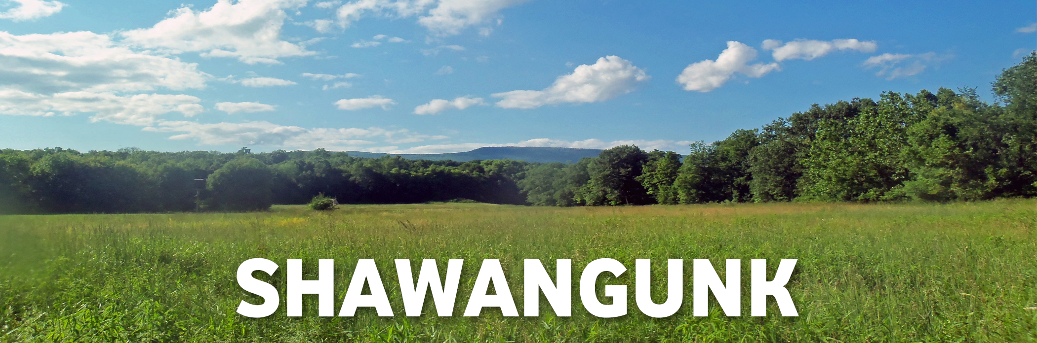 Shawangunk
