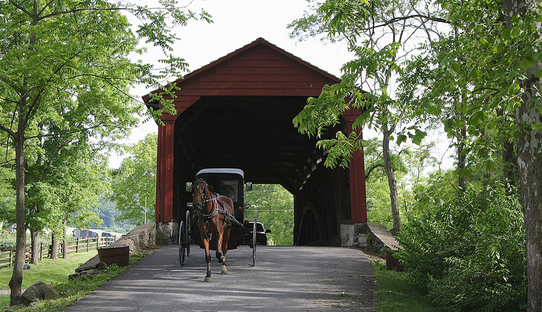 Home Page for Carl Unruh Associate Broker at Kingsway Realty