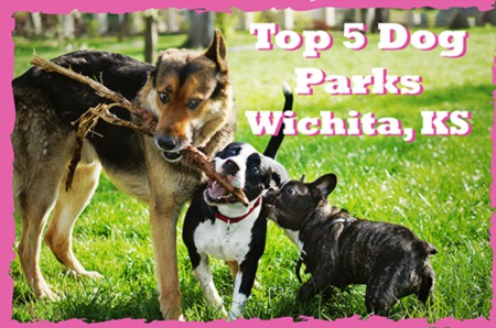 Dog Parks in Wichita KS