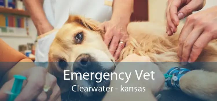 Clearwater, KS Vet Clinics