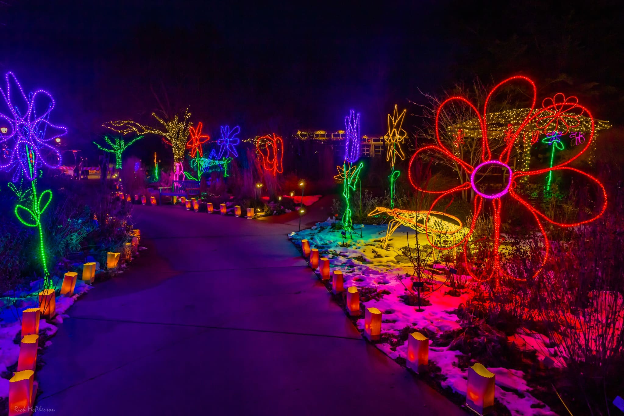 Where To See The Best Christmas Light Display In Wichita, KS