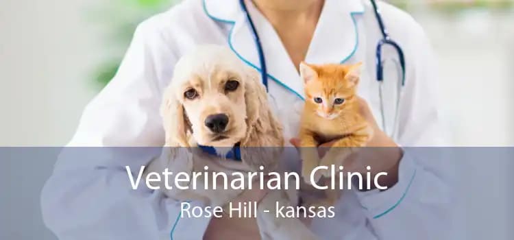 Rose Hill, KS Vet Clinics