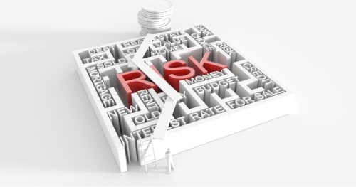 Potential Challenges and Risks Potential Challenges and Risks