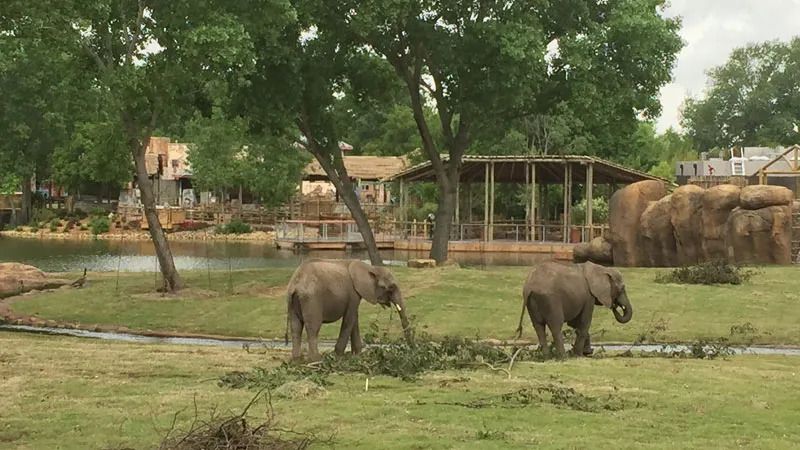sedgewick-county-zoo