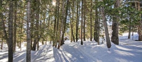 Mount Haven Big Cottonwood Canyon