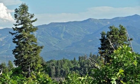 Pine Meadows Park City