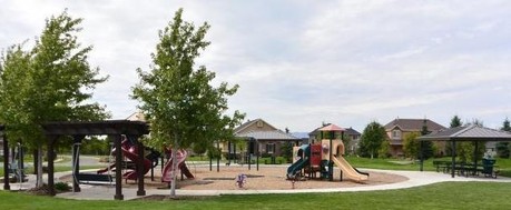 the Cedar in Cedar Hill Utah
