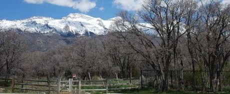 Whitby Woodlands Alpine Utah