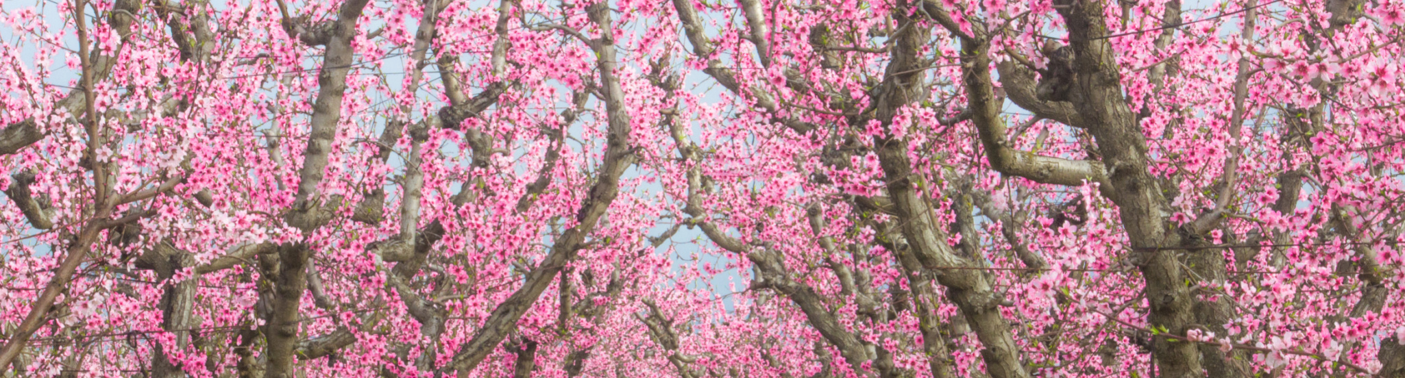 Valley Land & Investment Meet The Team