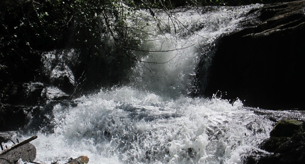 Alsea Real Estate Alsea OR Homes for Sale