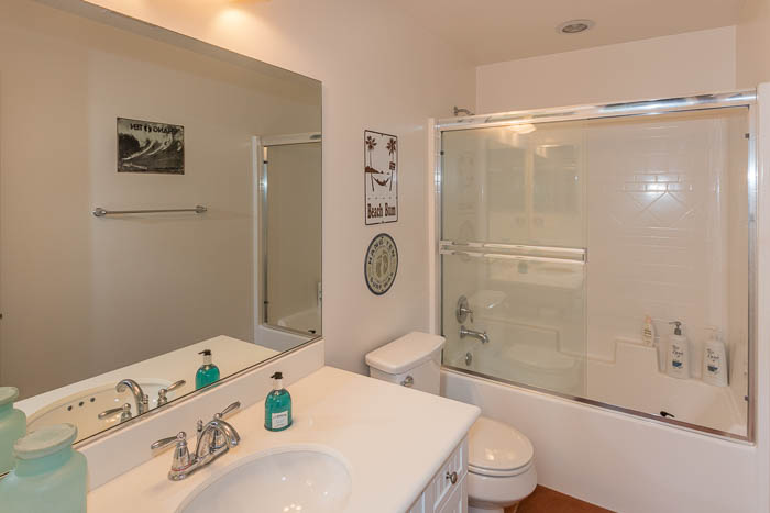 Downstairs Hall Bathroom
