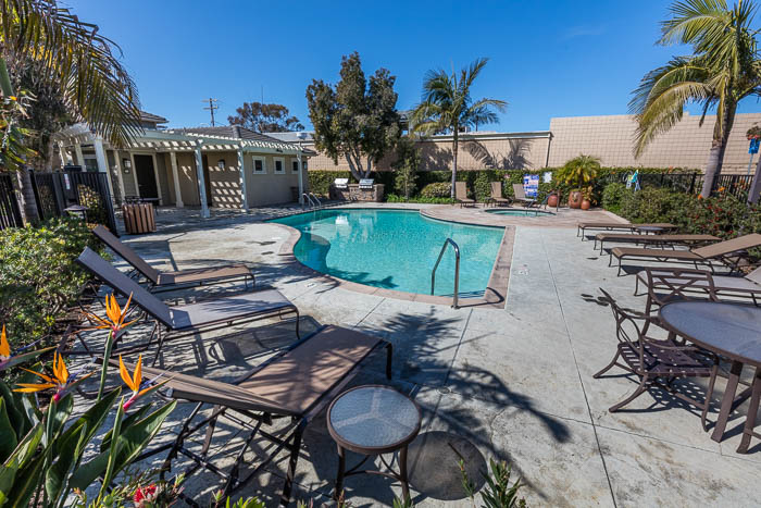 Community Pool and Spa