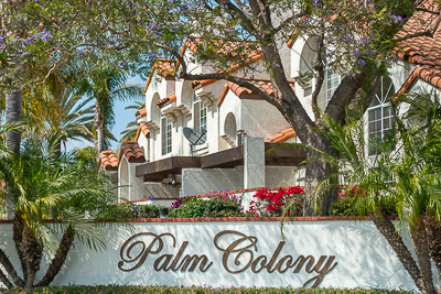 Palm Colony HOA Entrance Sign