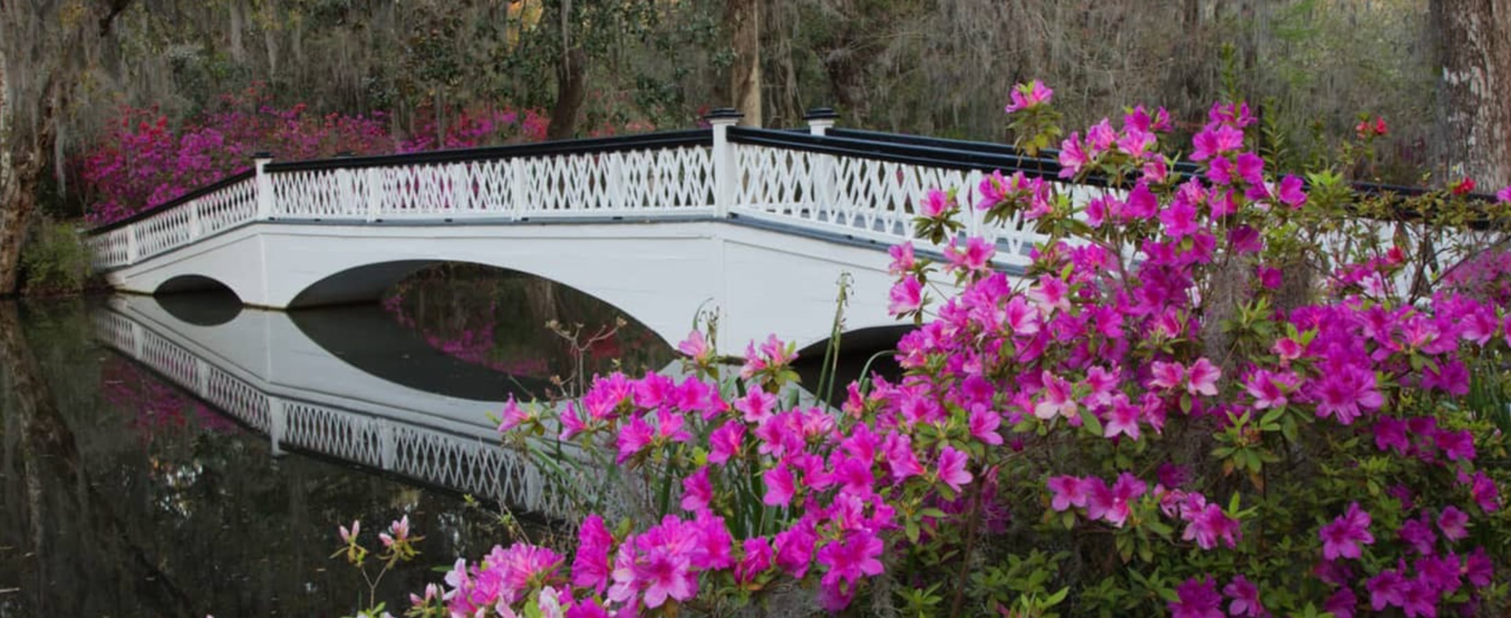 West Ashley Real Estate West Ashley Homes for Sale