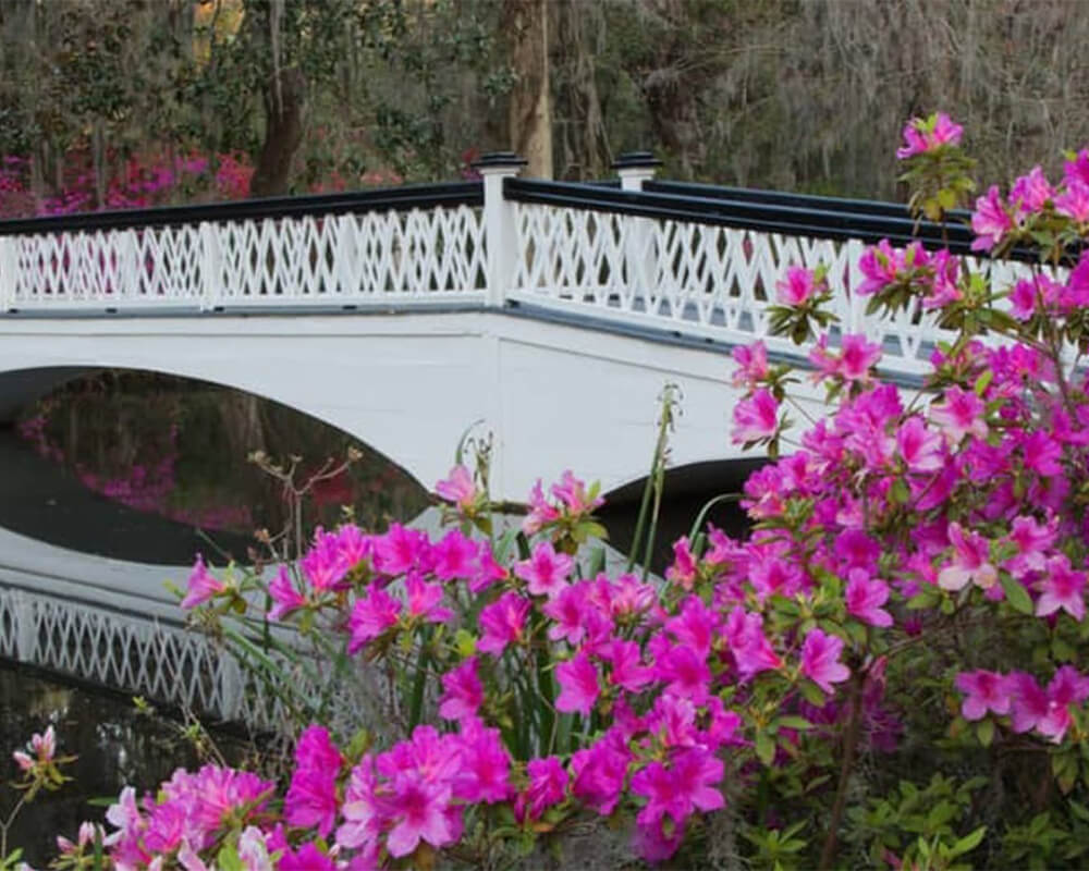 Charleston Real Estate Charleston Homes for Sale