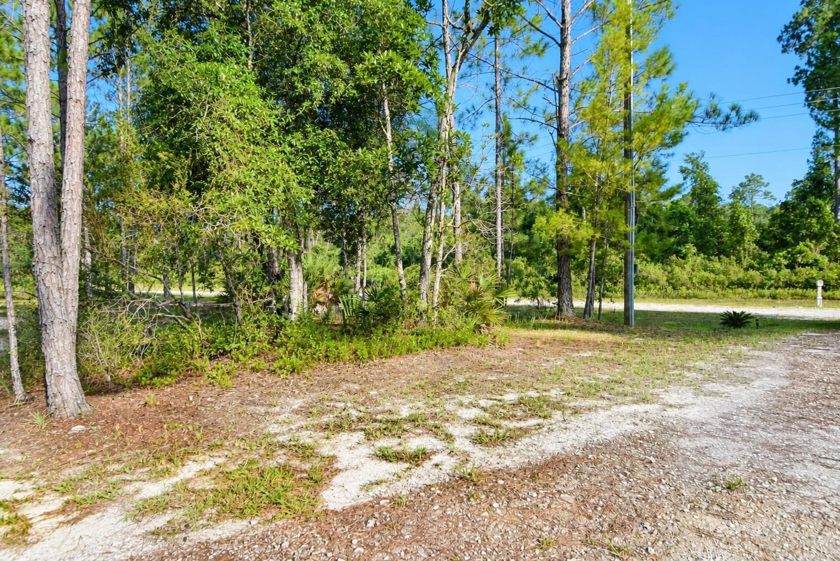 Road and wooded frontage