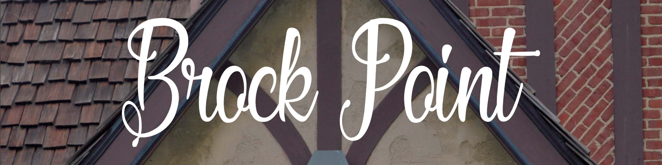 Luxury Homes for Sale In Brock Point Christina James Team RE/MAX