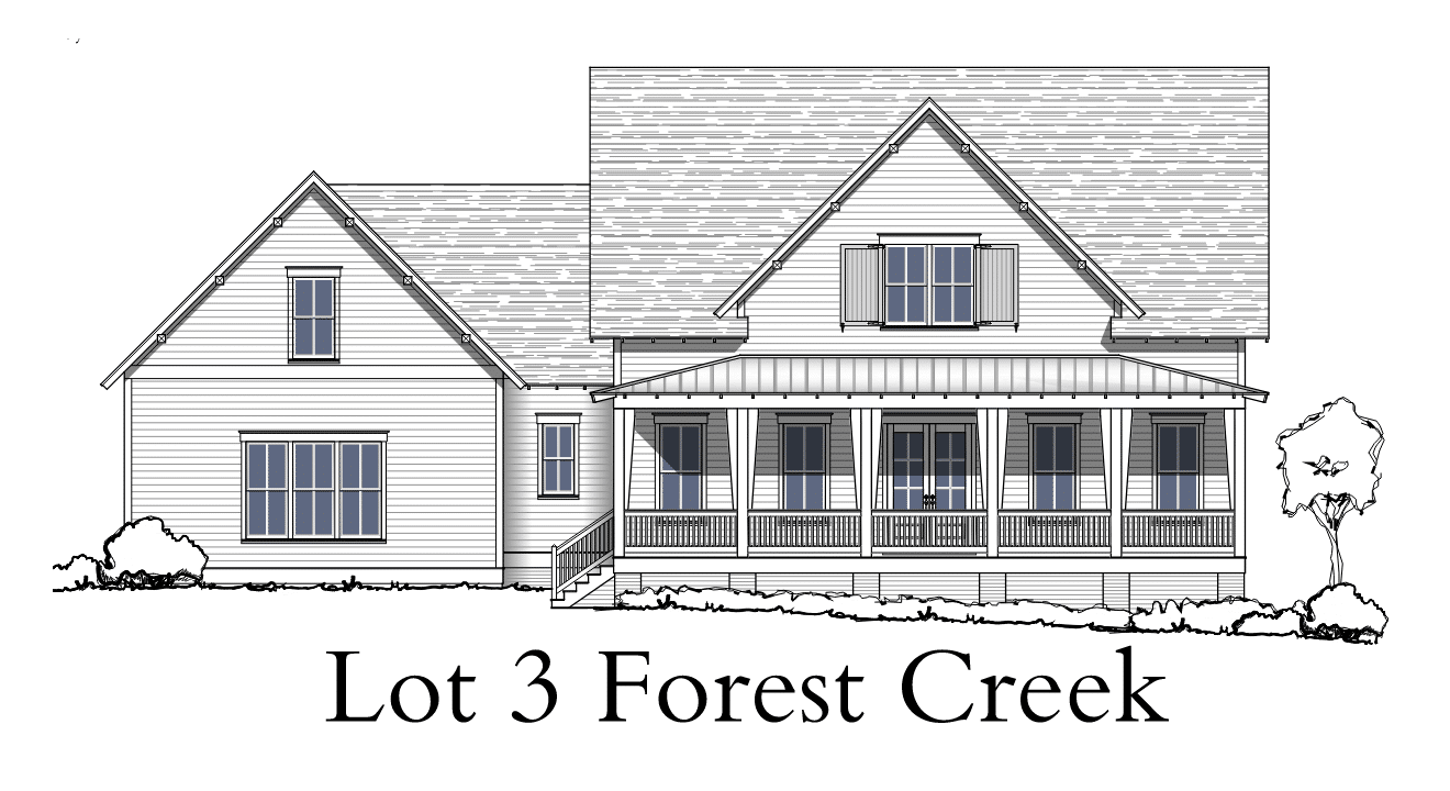forest creek