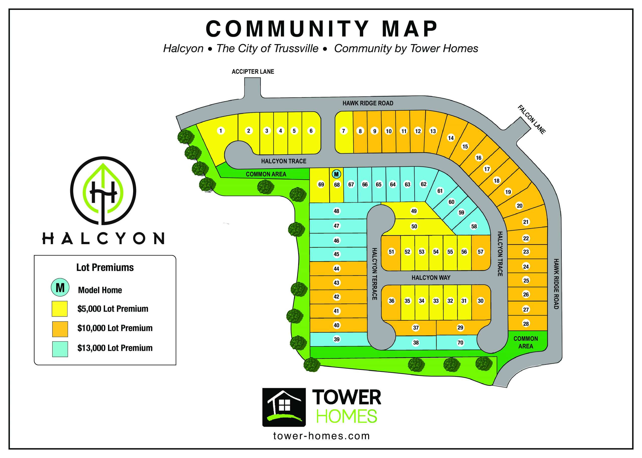 Halcyon Homes for Sale Trussville Real Estate Christina James Team