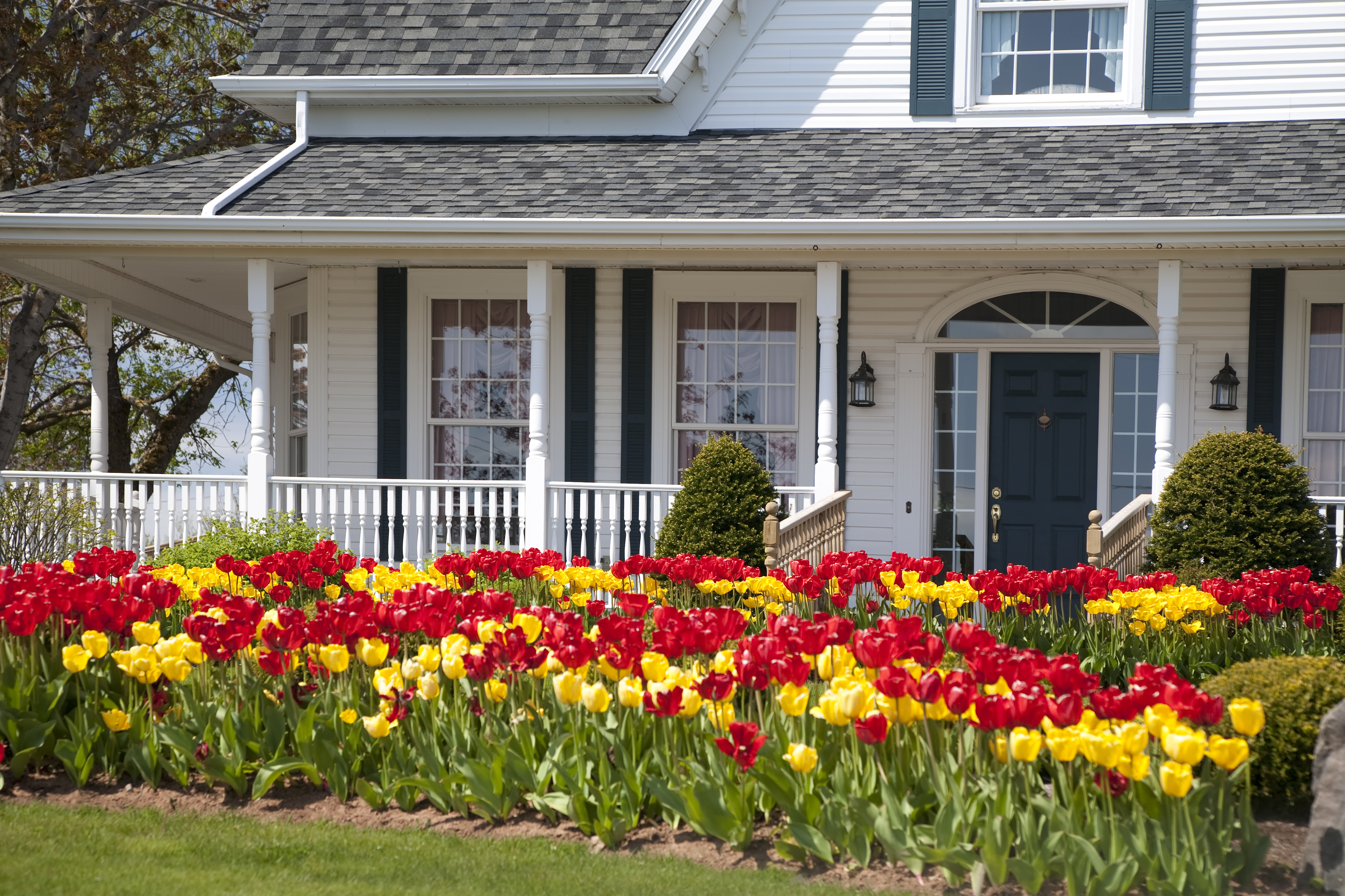 Selling Your Home in Birmingham? Make Sure It Appraises For Maximum Value