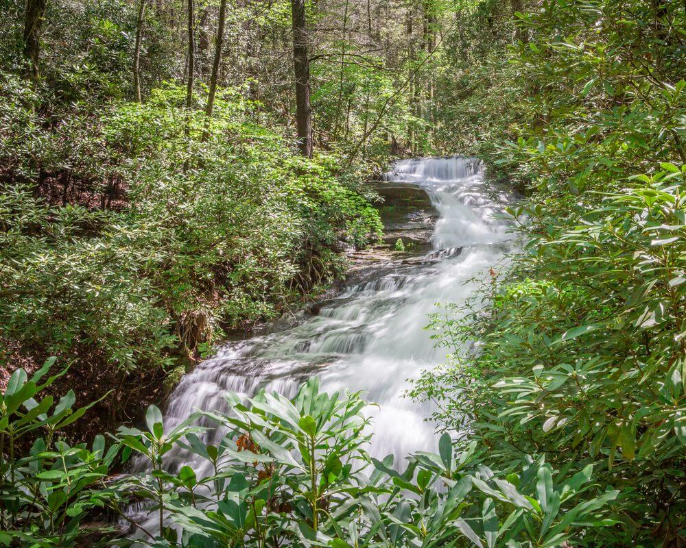 Glen Cannon, NC Real Estate