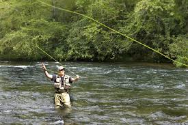 Western North Carolina