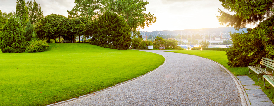 6 Reasons Why Grant Hill Estates Is A Great Place To Live - Park