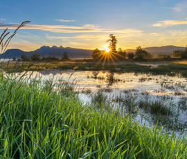 5 Reasons Cottonwood, Maple Ridge Is A Great Place To Live in 2021