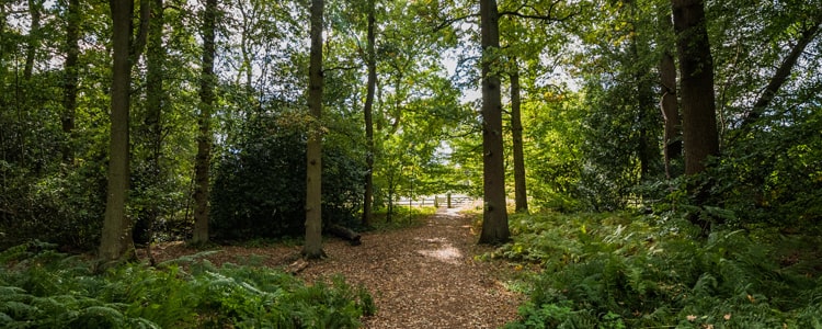 Walking Trails