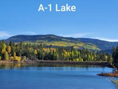 A-1 Lake pine tree shoreline in the Arizona high country