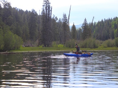 Christmas Tree Lake habitat for Apache Trout in White Mountains Arizona