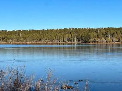 Scott Reservoir on Porter Creek surrounded by Apache-Sitgreaves National Forest