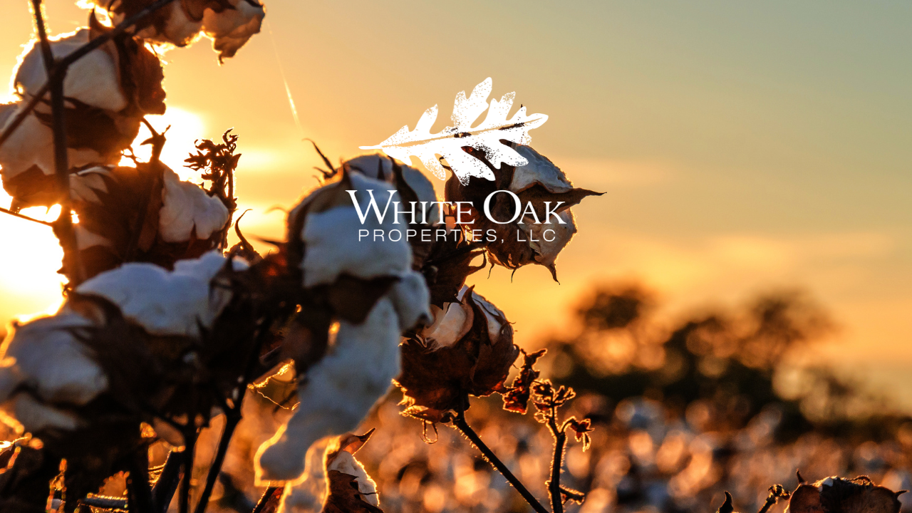White Oak Properties LLC