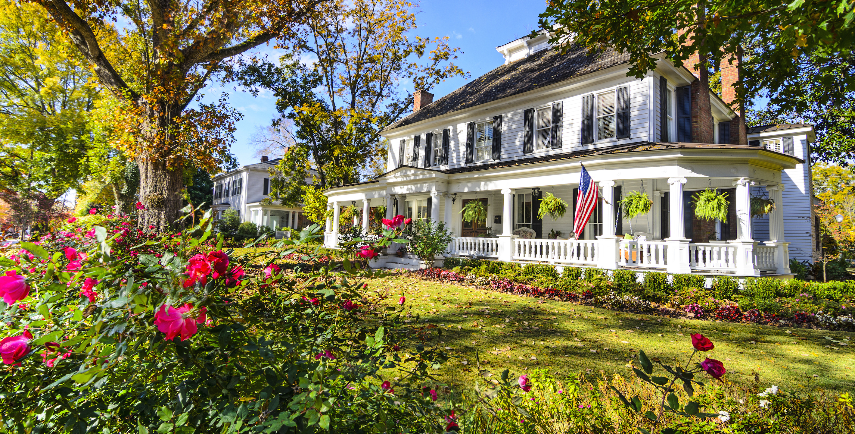 Quick Property Search