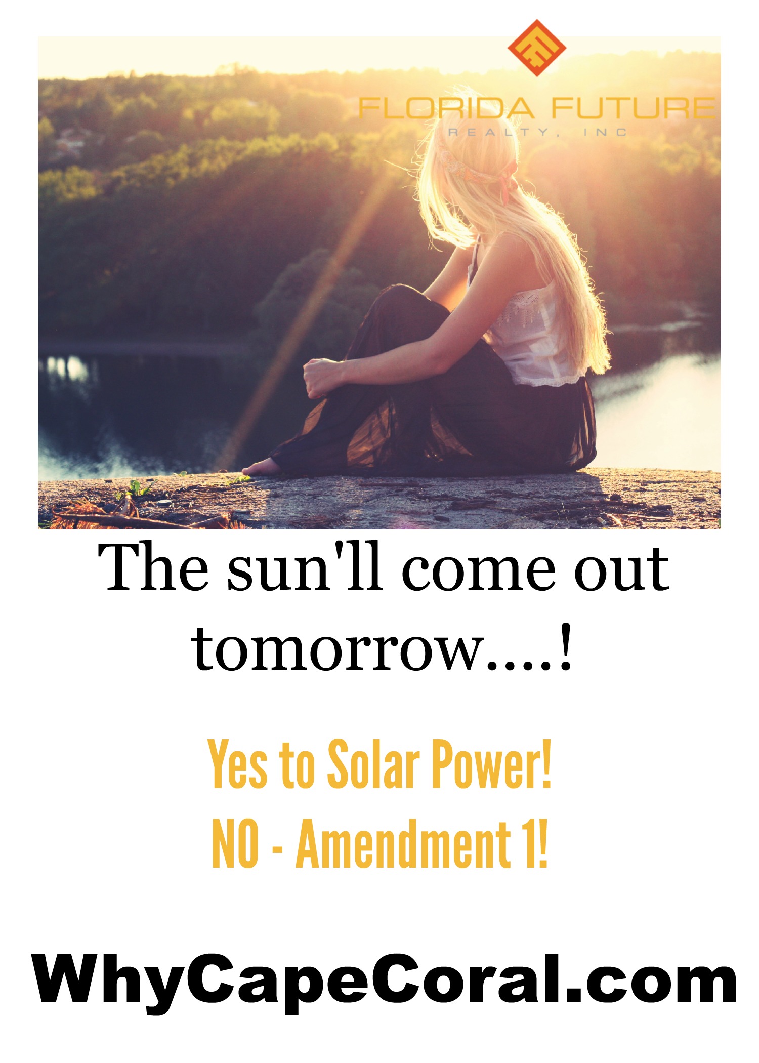 Solar Power - Amendment 1 in Florida