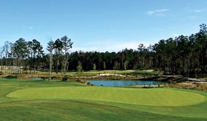Brunswick Forest Golf