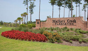 Cove Landing at Mallory Creek