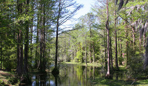 Greenfield Lake Park