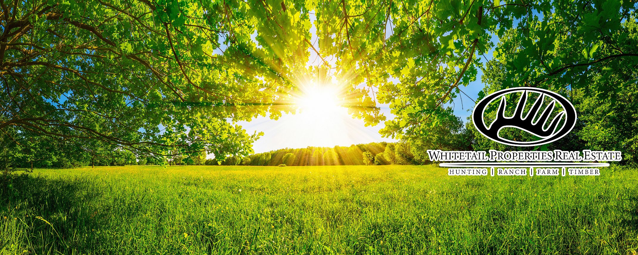 Whitetail Properties Real Estate