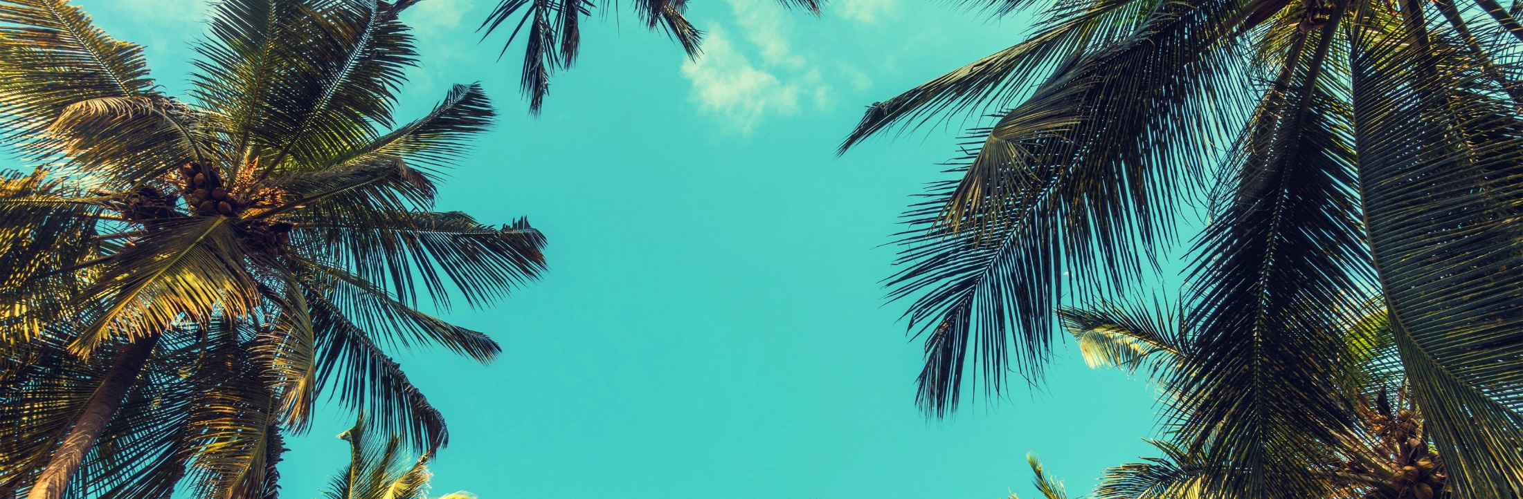 Hillsborough County, Florida, Real Estate Search