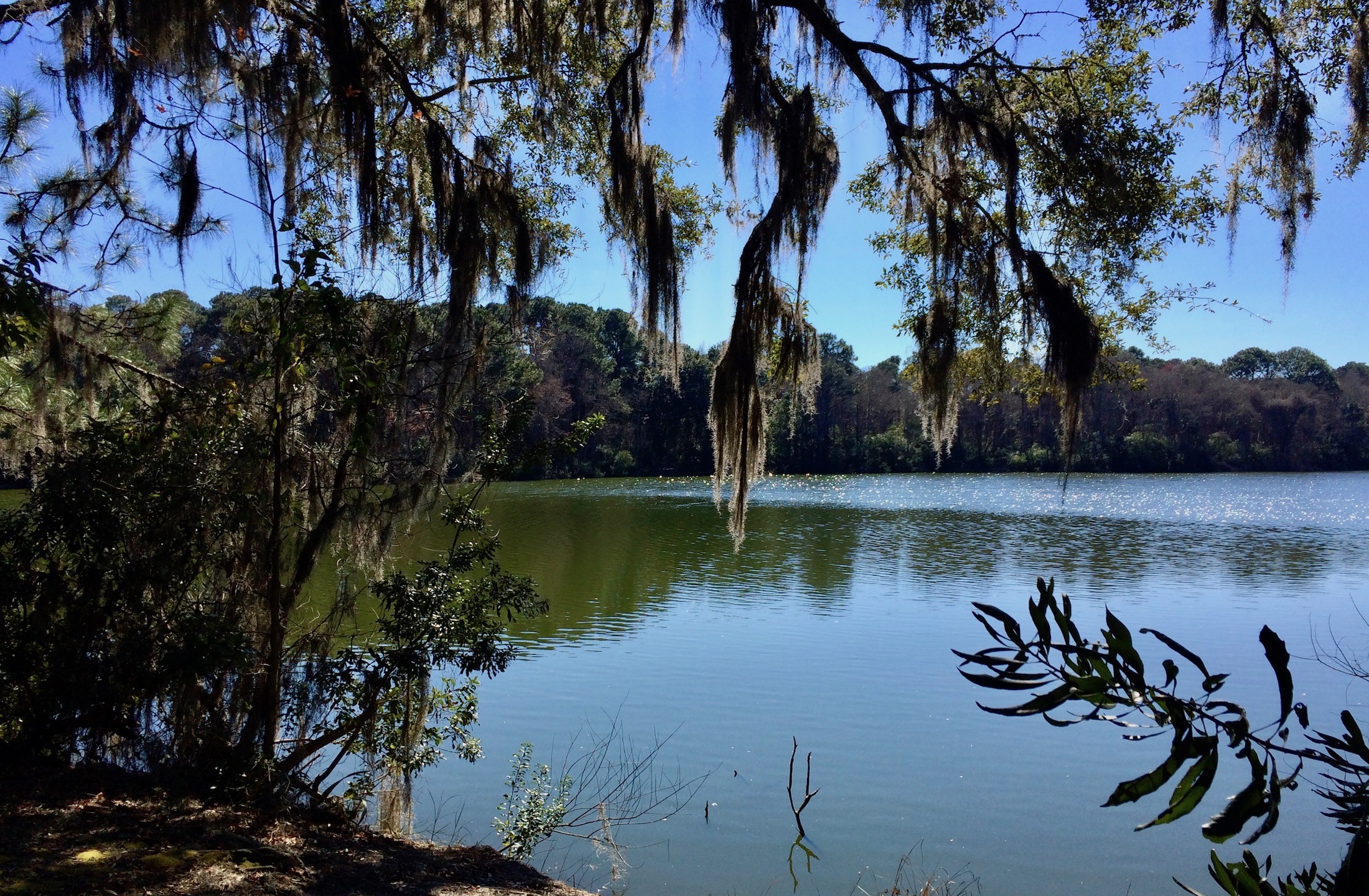 Central Area Real Estate, Sea Pines, Hilton Head Island, SC