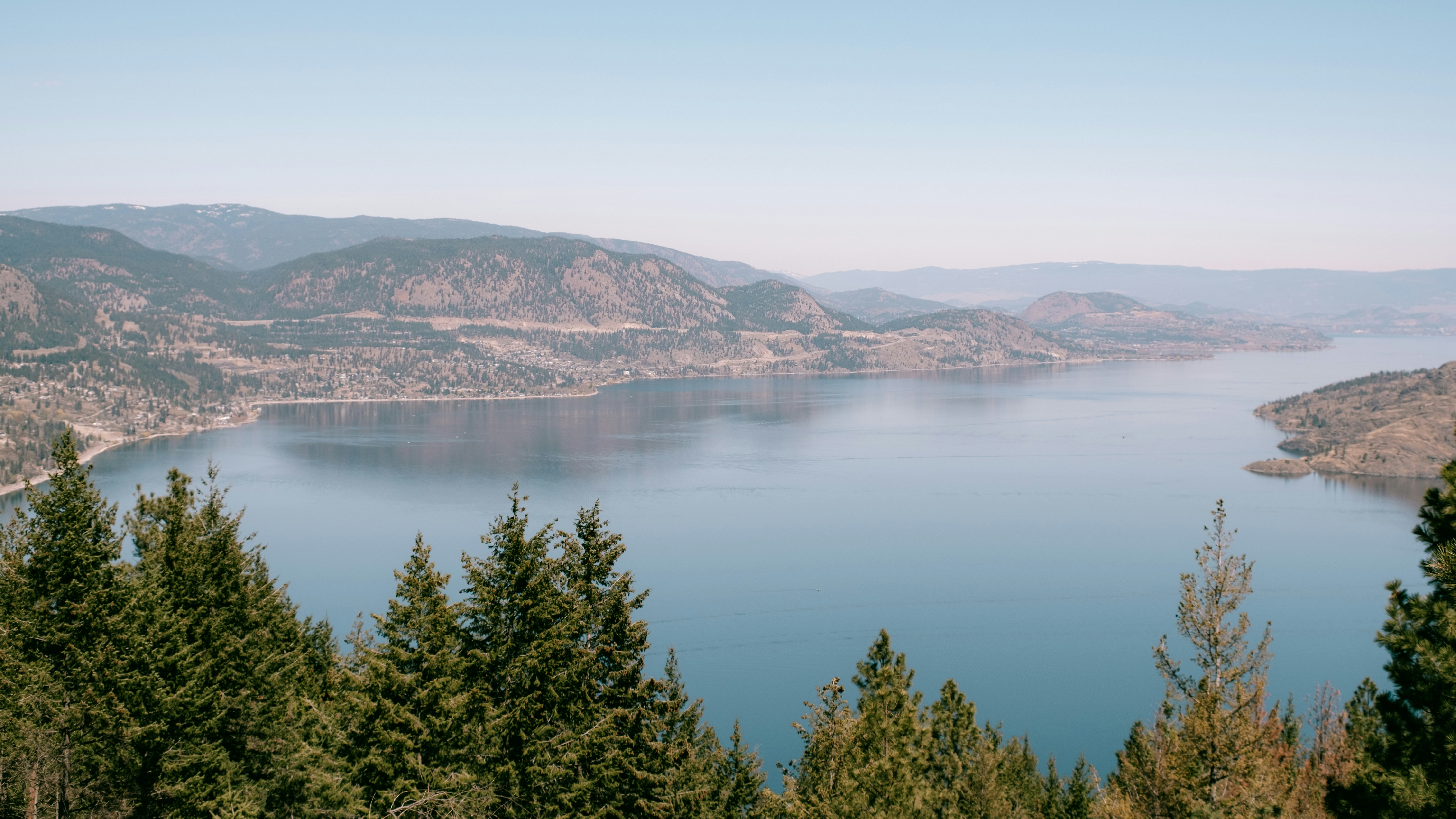 Trees near lake, Vernon BC
