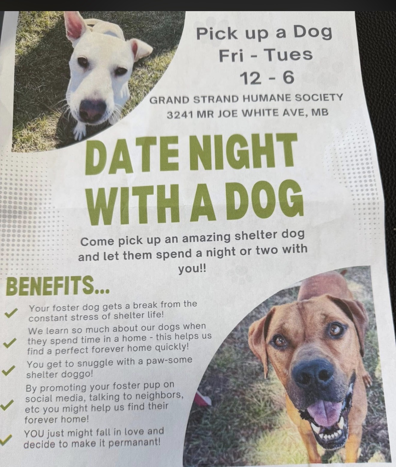 date with a dog