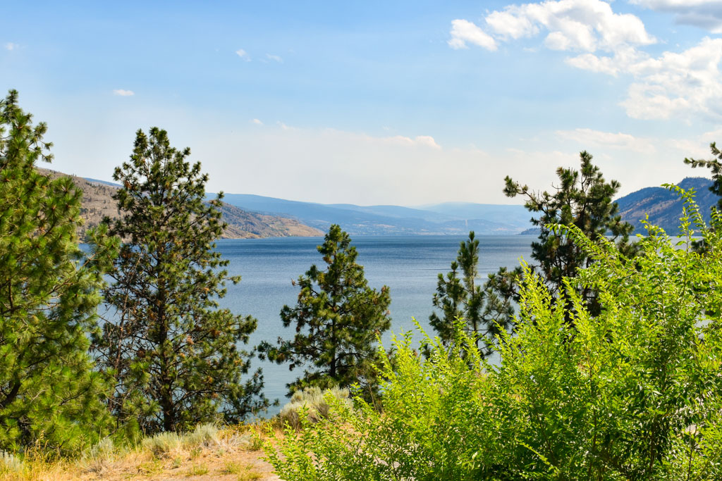 6488 Renfrew Rd. Peachland, BC Home with Acreage for Sale in