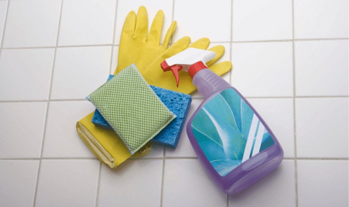 cleaner, sponges and cleaning gloves